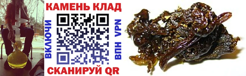 Купить где  Сурск  ГАШИШ VHQ 