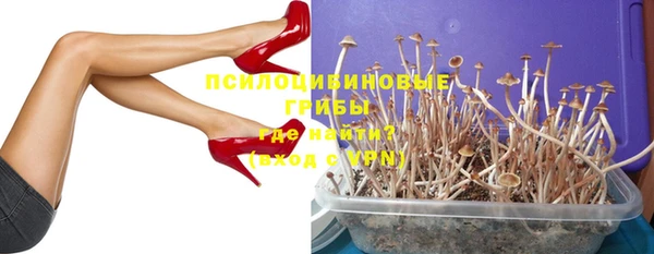 винт Аркадак
