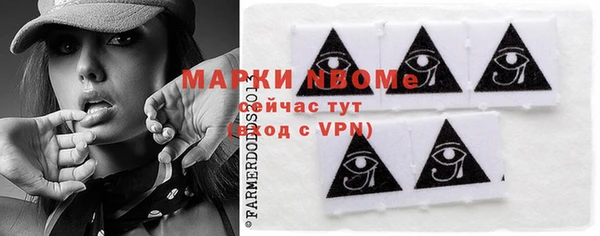 индика Армянск