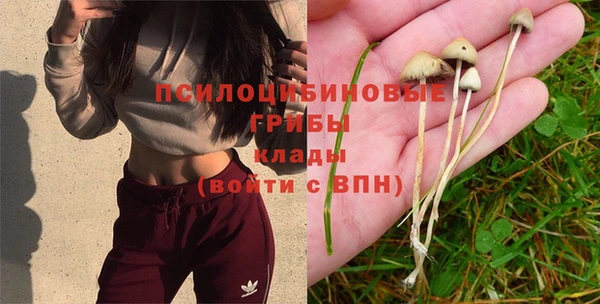 индика Армянск