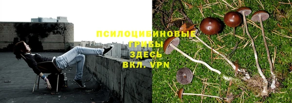 ALPHA-PVP Арсеньев