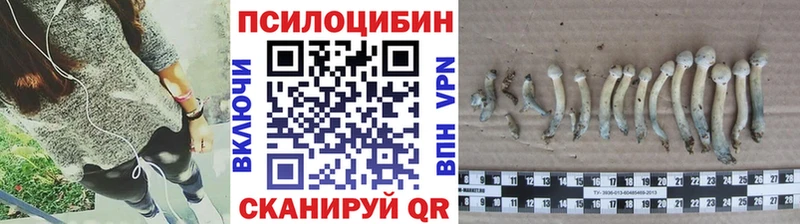 Купить закладки  Сурск  Псилоцибиновые грибы ЛСД 